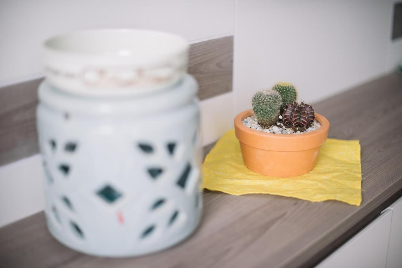 Da Nang Daisy Apartment エクステリア 写真
