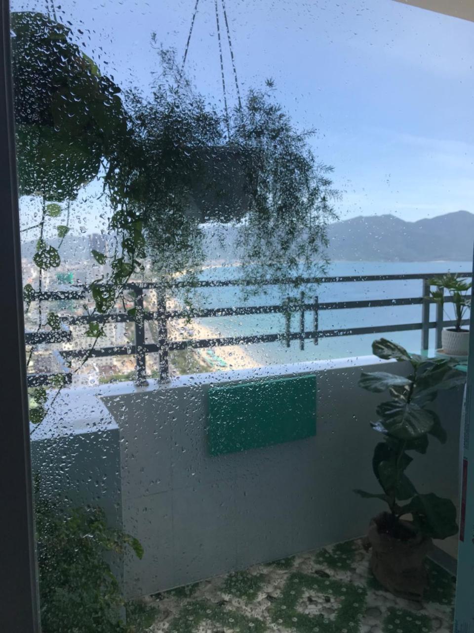 Da Nang Daisy Apartment エクステリア 写真
